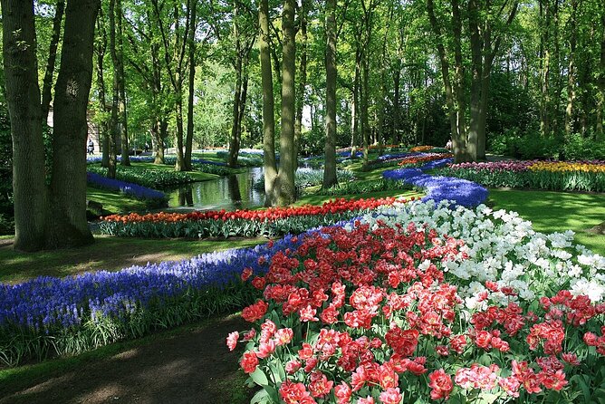 Tulip Paradise: Keukenhof Half-Day Private Tour - Who will enjoy this private spring outing