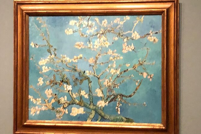 Van Gogh Museum, Rijks Museum & Walking Tour - Private Day Tour - Practical ways to get more from the day