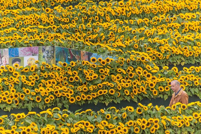 Van Gogh Museum Skip the Queue with Audio Guide - The famous paintings: Sunflowers, The Bedroom, and Almond Blossom