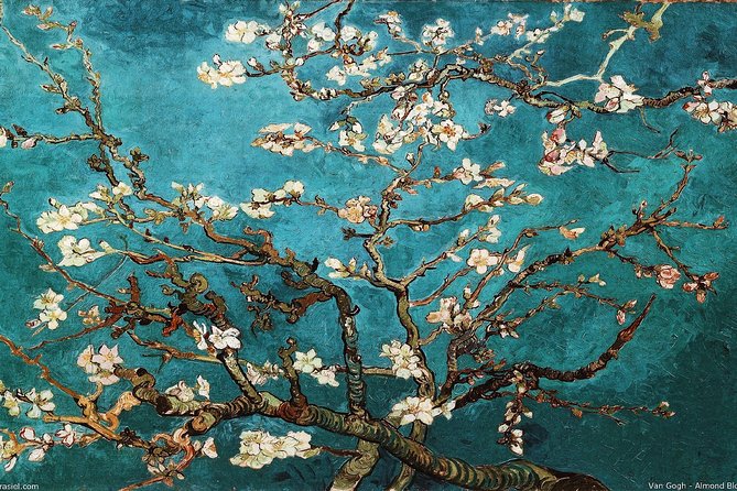 Van Gogh Museum Tour Reserved Entry Semi Private - Is $173.05 a fair price?