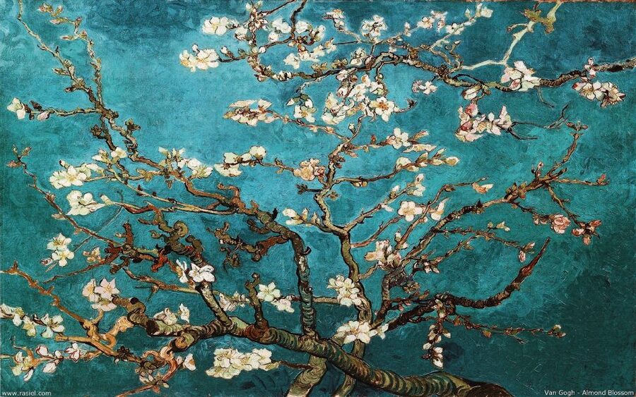 Van Gogh & Rijksmuseum Masterpieces Guided Tour 8 guests 5h - A short lunch break at Cobra Café