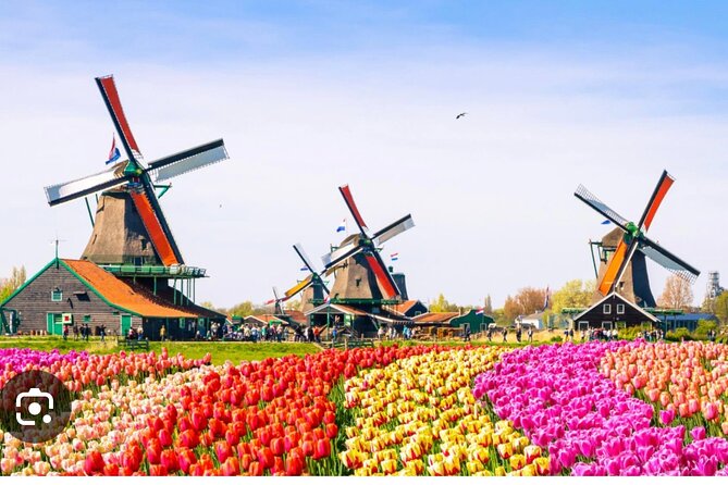 Windmills Country side tour Zaanse Schans-Cheesefactory-Volendam - Why this private countryside trip works well from Amsterdam