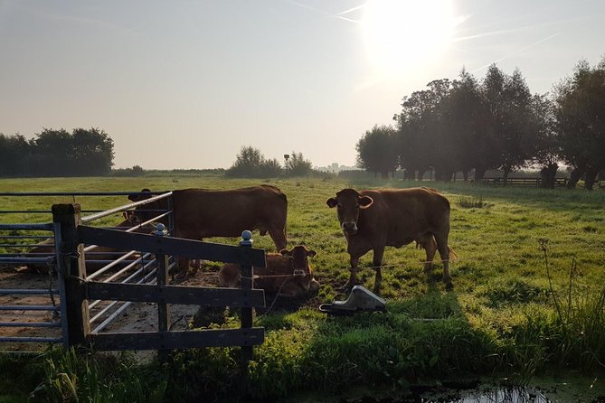 Zaanse Schans and Volendam Private Tour – Clogs, Cheese and More - Comfort, timing, and the true cost
