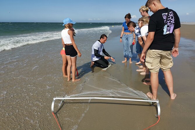 Zeeland Beach safari with Fishnet NL/DE - Why Zeeland’s shoreline makes a good classroom