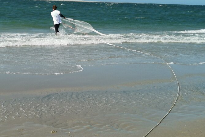 Zeeland Beach safari with Fishnet NL/DE - Getting started with nets and search cards