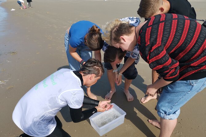 Zeeland Beach safari with Fishnet NL/DE - A guide who brings energy to the lesson